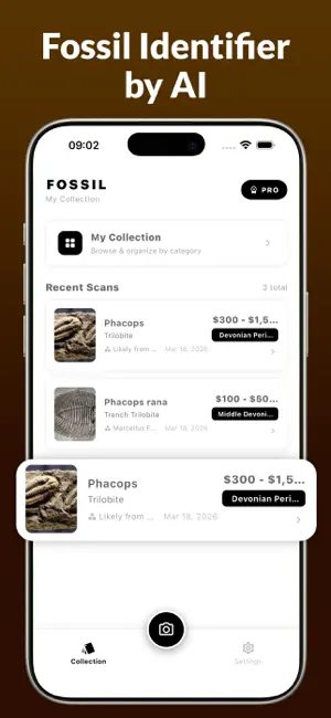Fossil Identifier : FossilScan screenshot 2