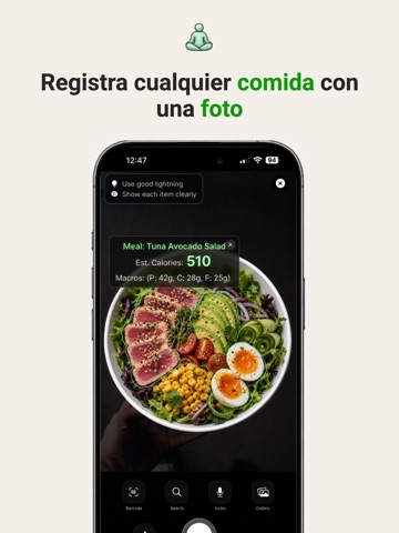 IA Nutricion contador calorias iPad screenshot 2