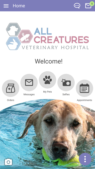 All Creatures Vet NC screenshot