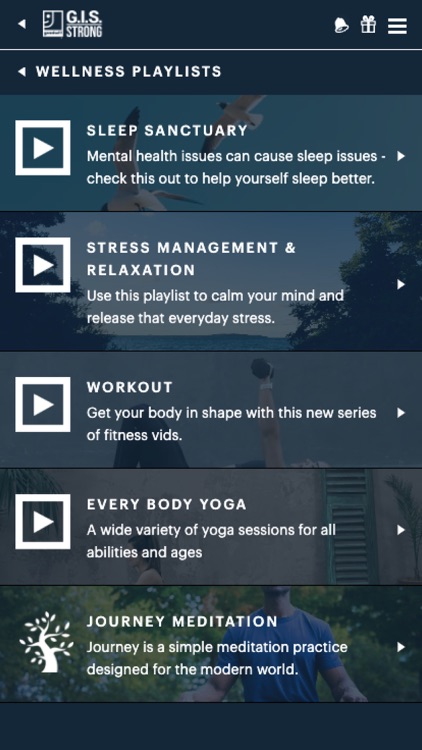 G.I.S. Strong screenshot-5