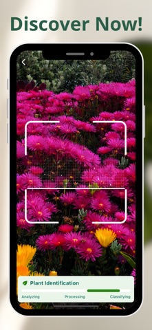 Plant Care app • screenshot