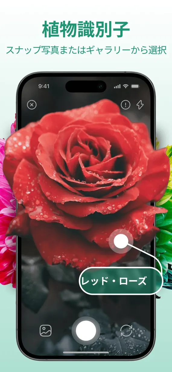 PlantExpert Leaf Identifier screenshot 1