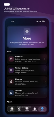 Glint Media Studio screenshot