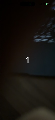 Everyday Dandelion screenshot