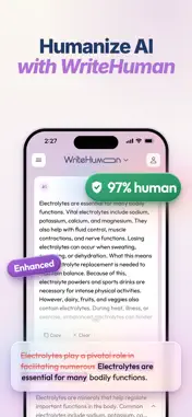 WriteHuman AI Humanizer screenshot 1