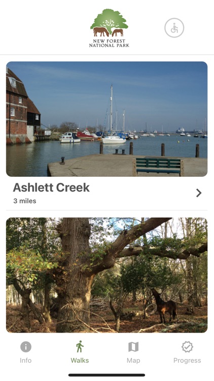 New Forest National Park Walks