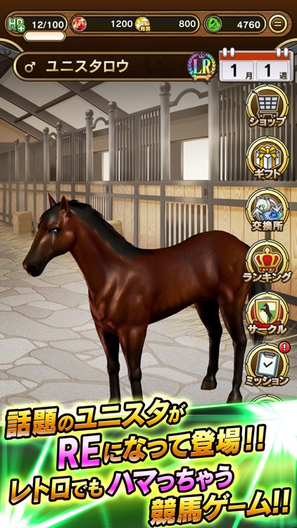 UNIVERSAL STALLION RE