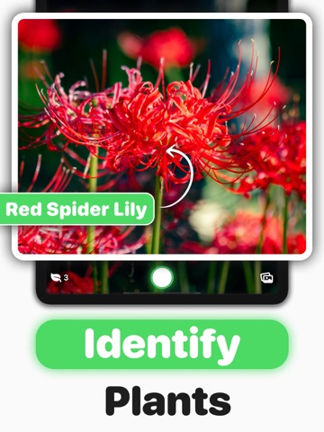 What Plant Is This ° iPad screenshot