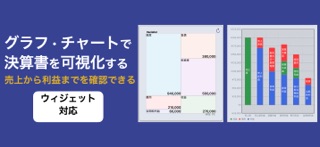 複式簿記で記帳する会計帳簿 Paciolistパチョーリ主義 のスクリーンショット