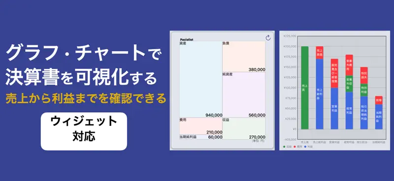 複式簿記で記帳する会計帳簿 Paciolistパチョーリ主義 screenshot 2 of 5