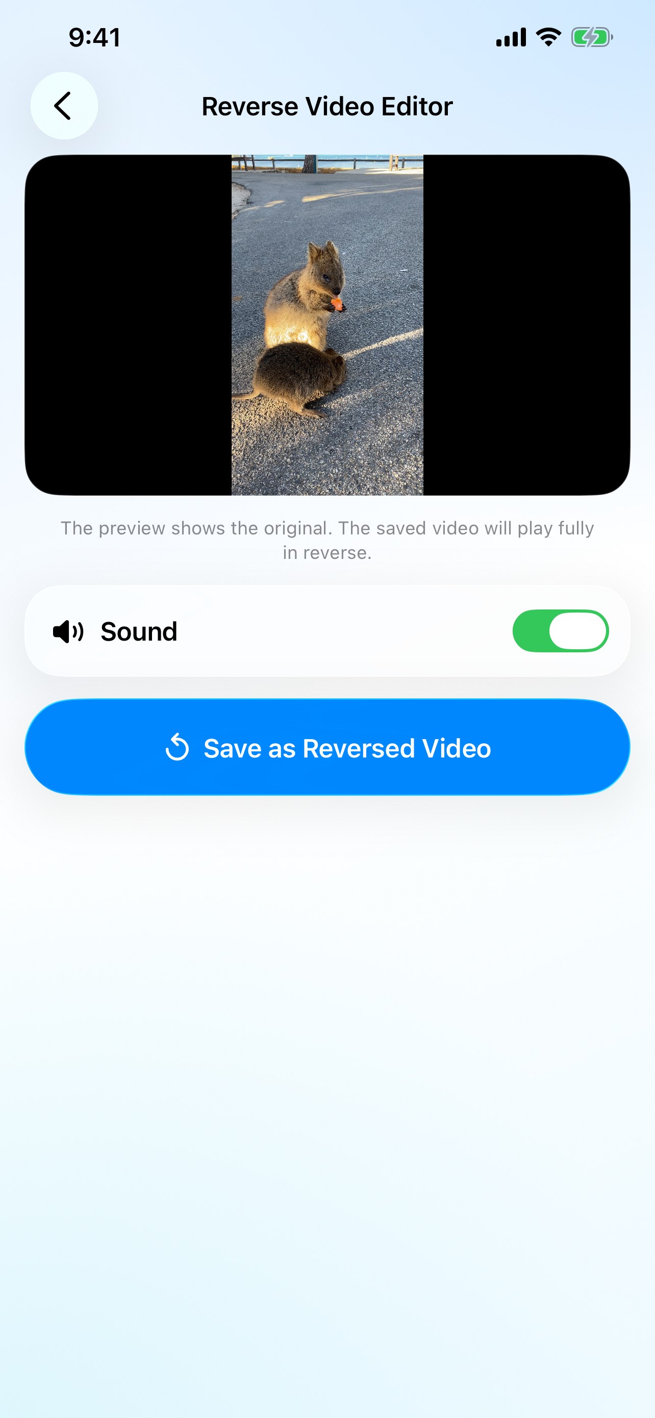 Reverse Video Edito‪r‬ screenshot 3