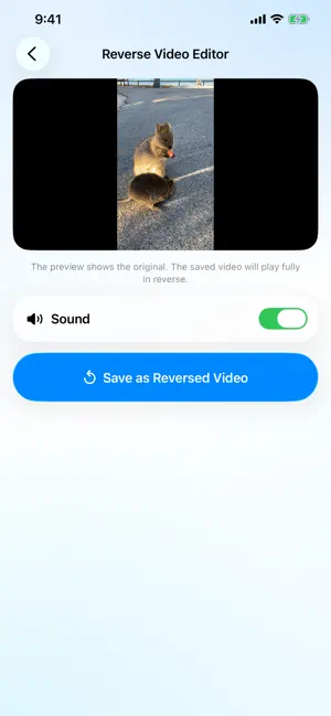Reverse Video Edito‪r‬ screenshot 3
