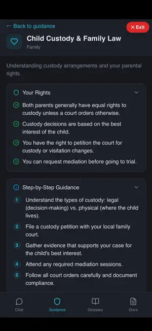 Your Legal Assistant screenshot 2