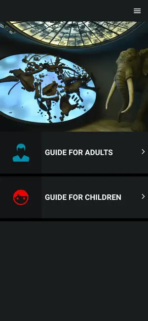 Landesmuseum Halle Audioguide screenshot 4