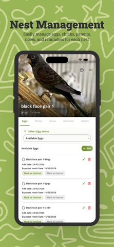 Wingora Screenshot 2 of 4