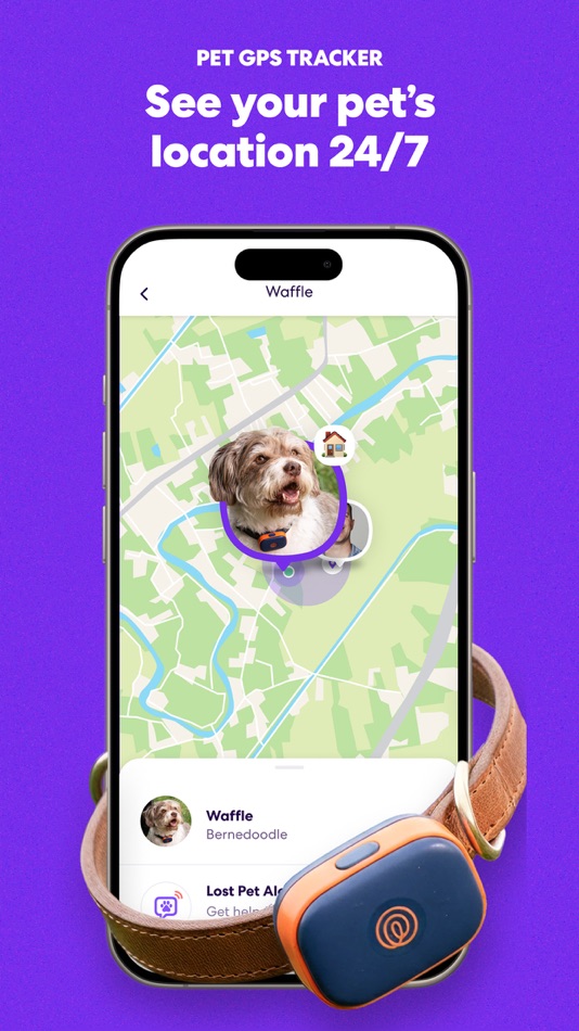 #6. Life360: Stay Connected & Safe (iOS) 由: Life360
