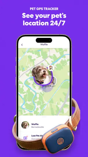 Life360: Stay Connected & Safe iPhone Screenshot 6