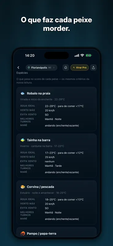 Maré Ao Vivo: Pesca e Previsão screenshot 7 of 8