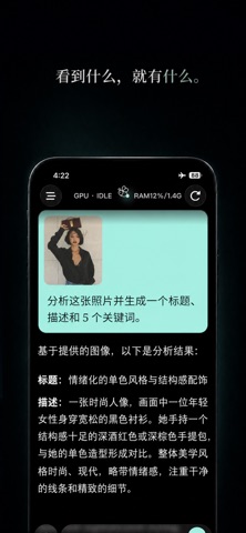锦囊妙计: 本地AI记忆 screenshot