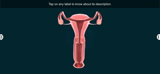 Female Repro Sys - EduTech Era iPhone screenshot