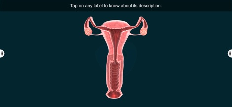 Female Repro Sys - EduTech Era - Education App | MWM