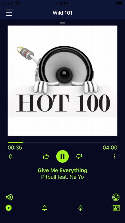 Wild 101.1