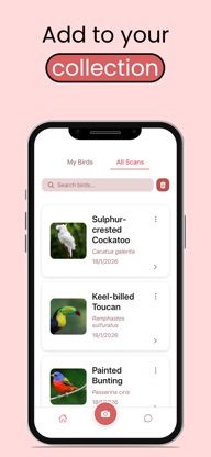 Bird Identification App screenshot 4