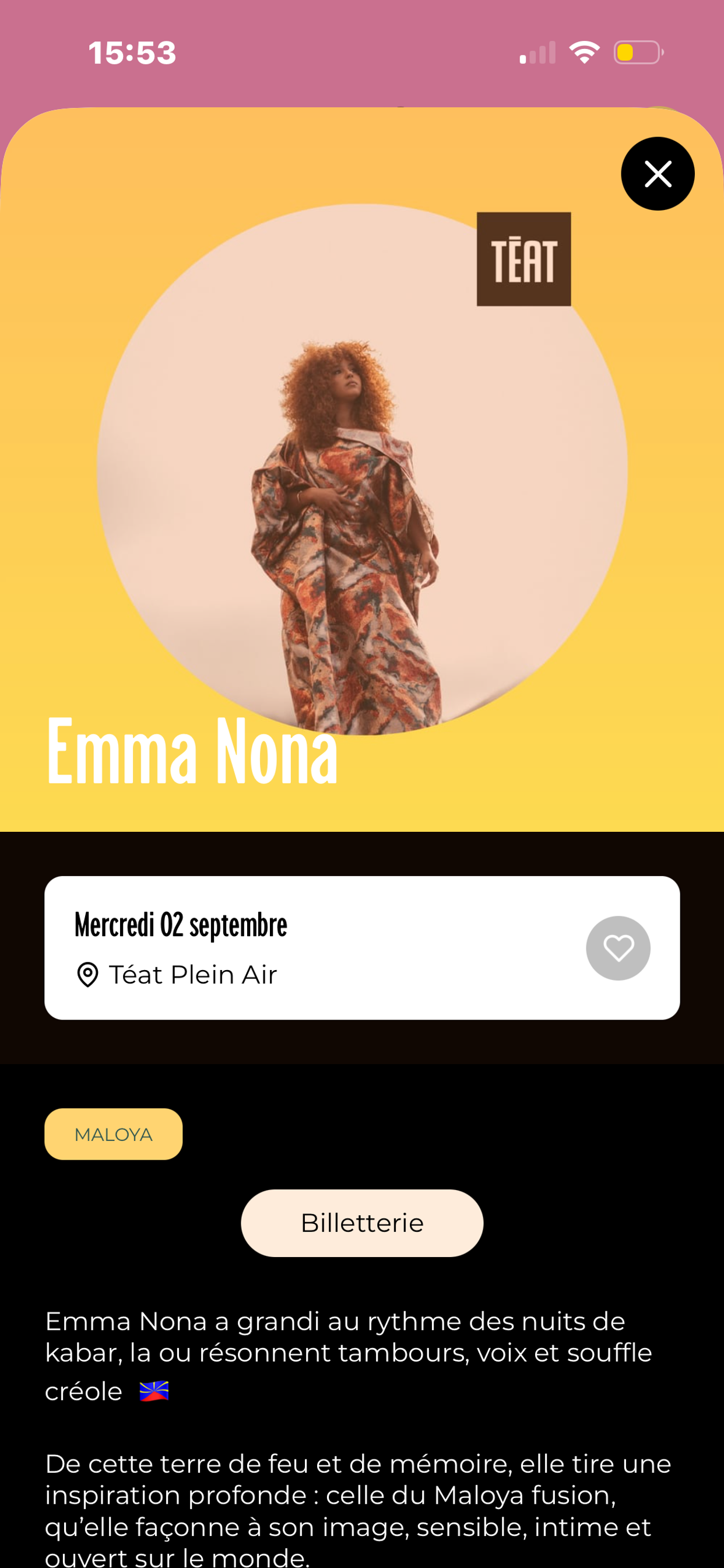 Francofolies de la Réunion screenshot 3