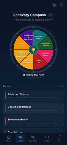 RoadMap4Recovery screenshot