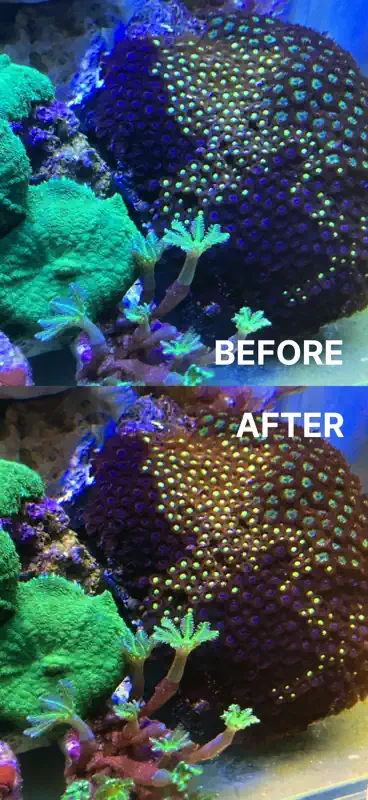 Aquarium Camera screenshot 1 of 6