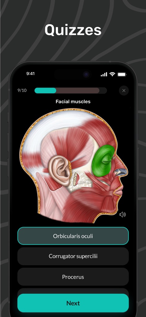 Easy Anatomy 3D - Test understanding with interactive quizzes, identifying facial muscles from detailed illustrations through multiple-choice questions.