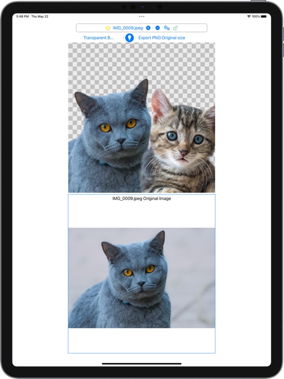 AI CutoutCraft screenshot-3