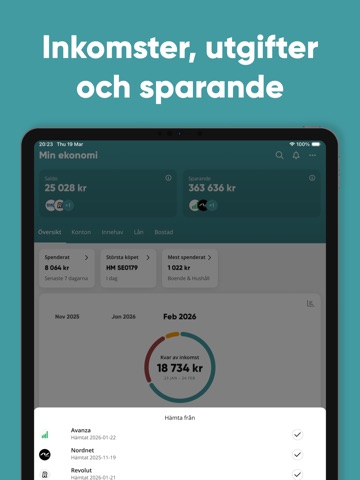 Zlantar: Hela din ekonomi iPad screenshot 2