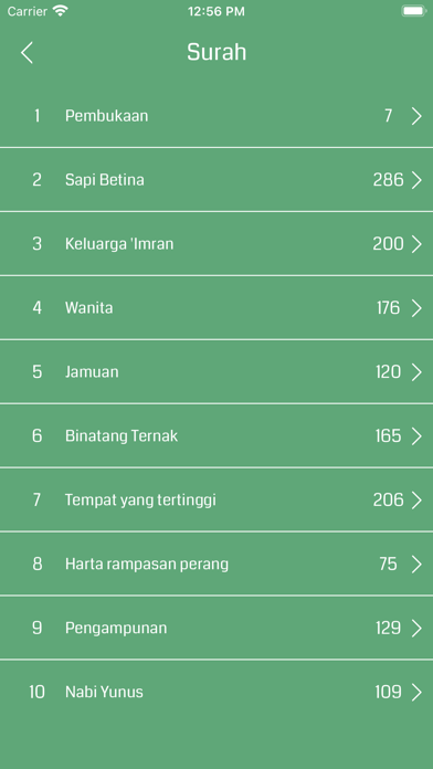 Indonesian Quran Screenshot