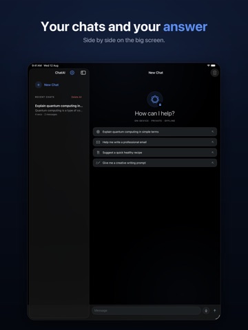 ChatAI - On Device AI iPad screenshot