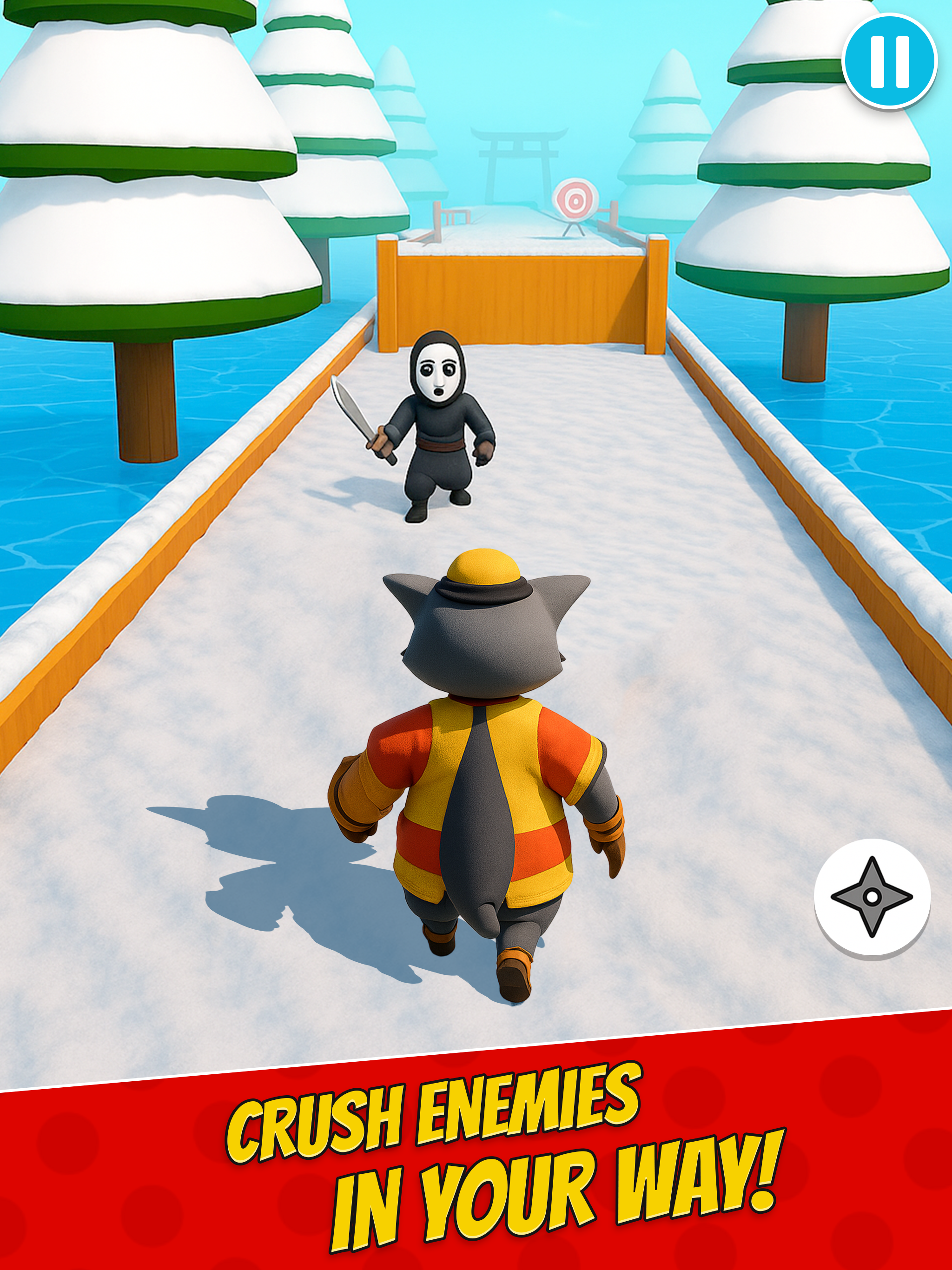 Ninja Games - Ninja Master