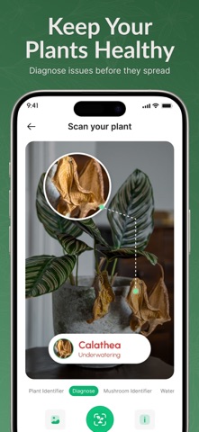 Plant ID: Leaf & Garden Care iPhone screenshot