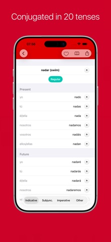 Spanish Verb Conjugator Pro Screenshot 3 of 9