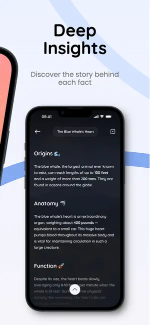 Denwee: Facts & Curiosities screenshot 3