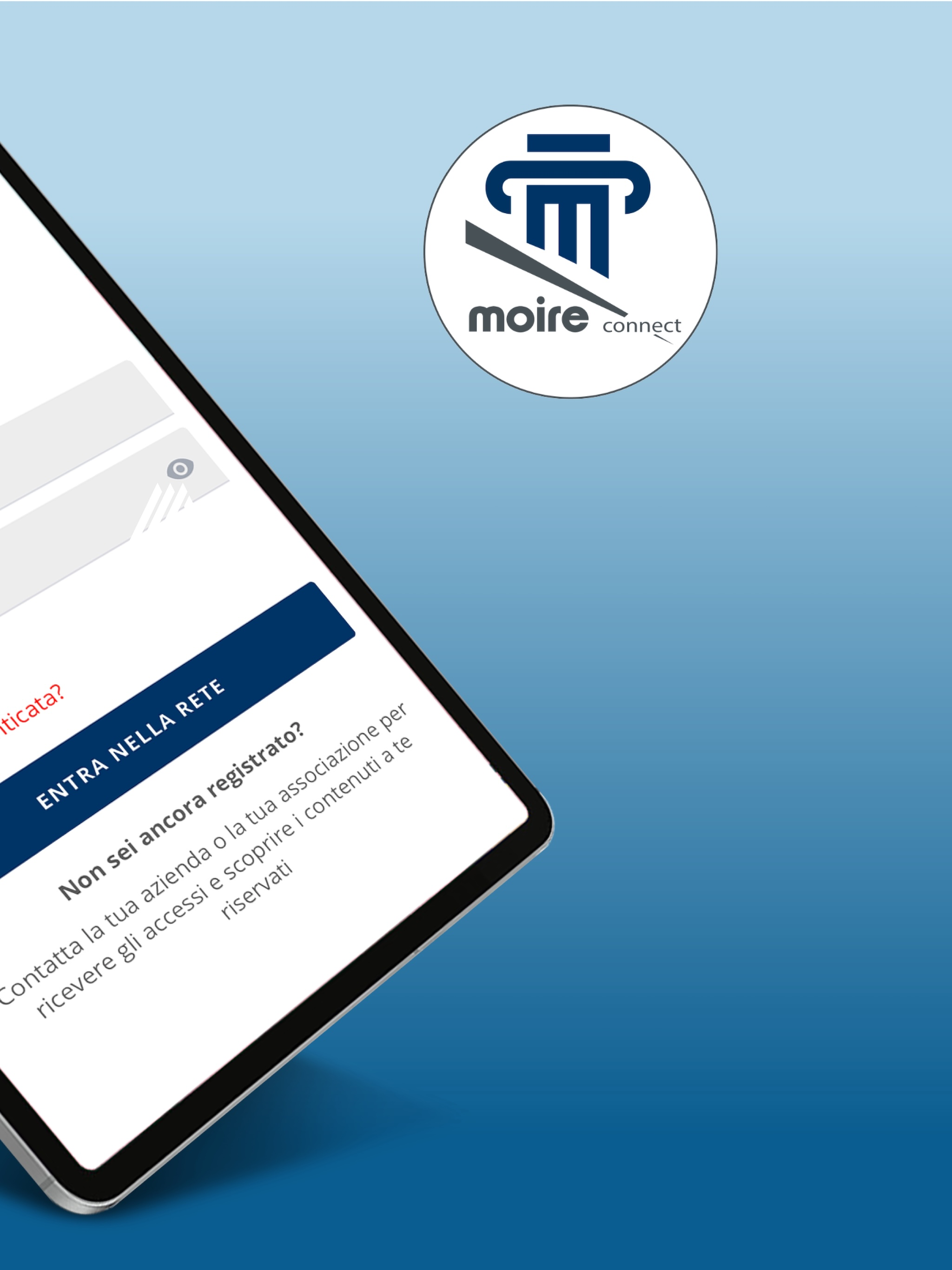 MoireConnect screenshot 13
