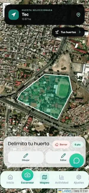 AVOTEX screenshot 3