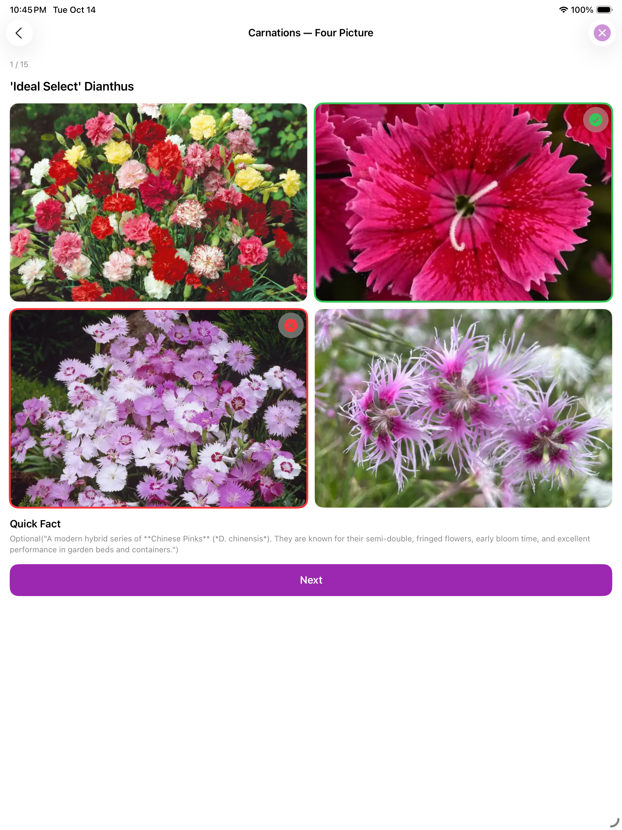 Flowers Quiz Identify Types screenshot 14
