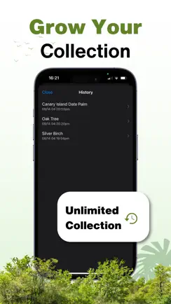 Tree Identifier - Photo ID iPhone image 4