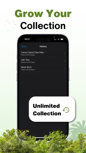 Tree Identifier - Photo ID screenshot 4