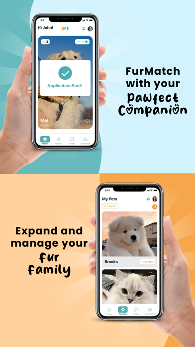 Bearlot's Furry Friends (BFF) Screenshot