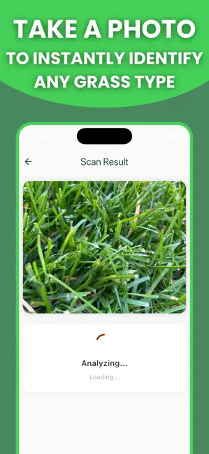 Grass Identifier: AI Scan iPhone screenshot 2