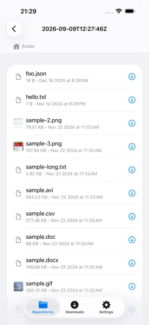 Borg Backup Explorer screenshot 3