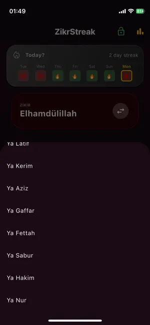 ZikrStreak Plus – Daily Dhikr screenshot 4