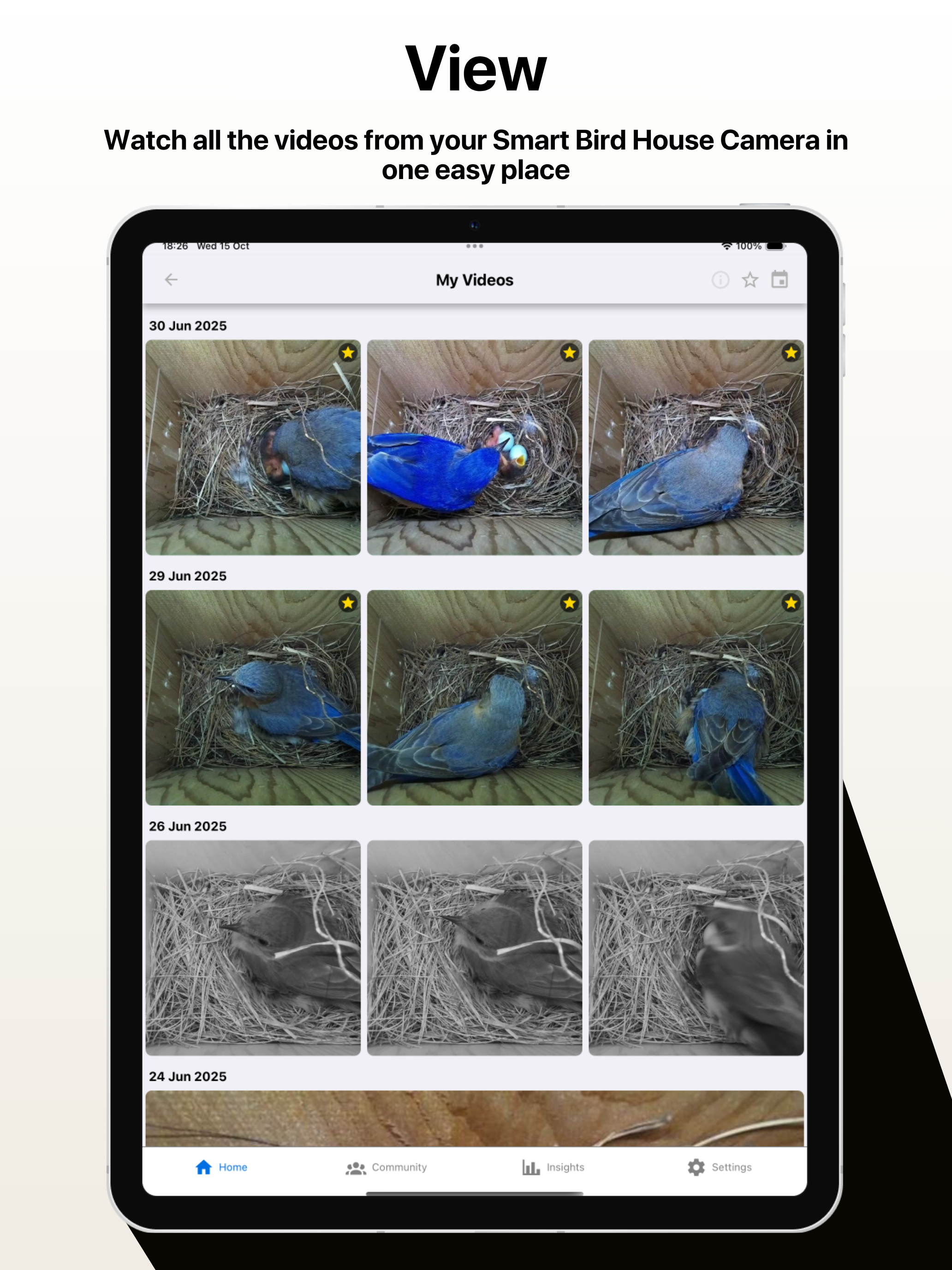 Nest Box Live