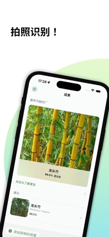 森林指南: 步数与植物识别 screenshot